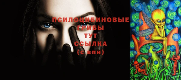 ГАЛЛЮЦИНОГЕННЫЕ ГРИБЫ Абинск