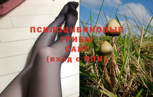 ГАЛЛЮЦИНОГЕННЫЕ ГРИБЫ Абинск