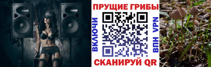 МЕГА ССЫЛКА  Рассказово  Псилоцибиновые грибы MAGIC MUSHROOMS 