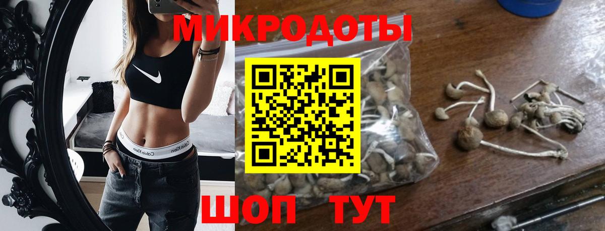 Псилоцибиновые грибы Cubensis  Вход с VPN  Рассказово 