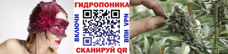 Конопля семена  Рассказово 